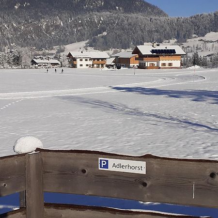 Ferienwohnung Adlerhorst Im Haus Lohrey 雷特温克尔 外观 照片