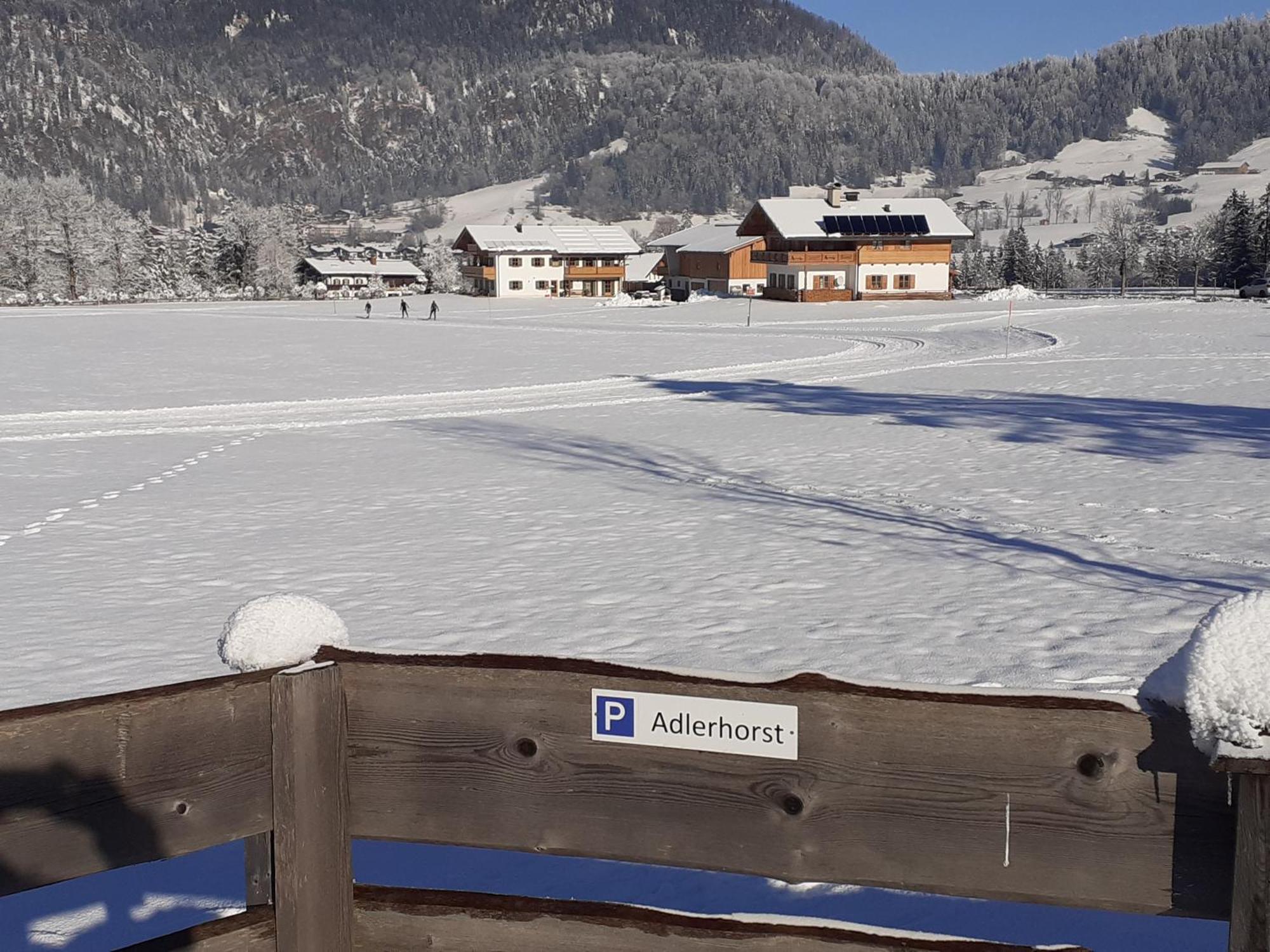 Ferienwohnung Adlerhorst Im Haus Lohrey 雷特温克尔 外观 照片